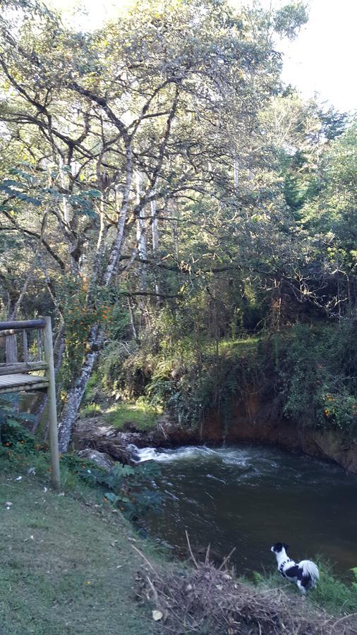 Acogedor En El * El Retiro (Antioquia)